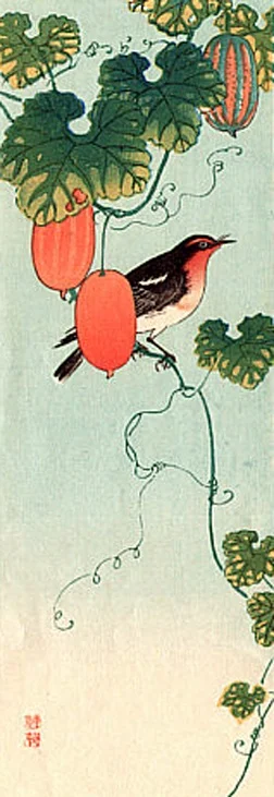 bird7