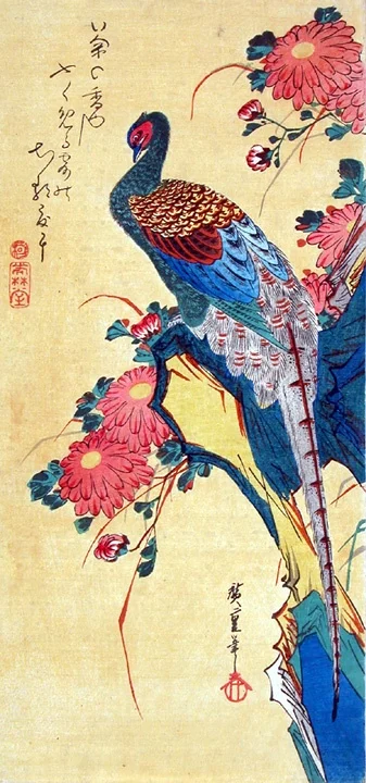 bird9