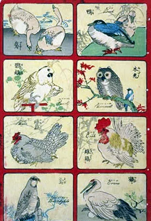 birds27