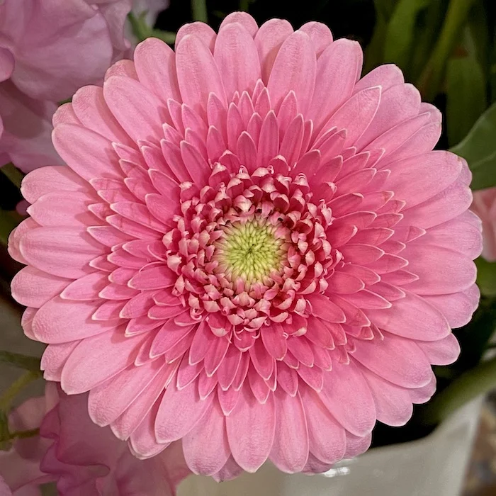 bouquet.jpeg