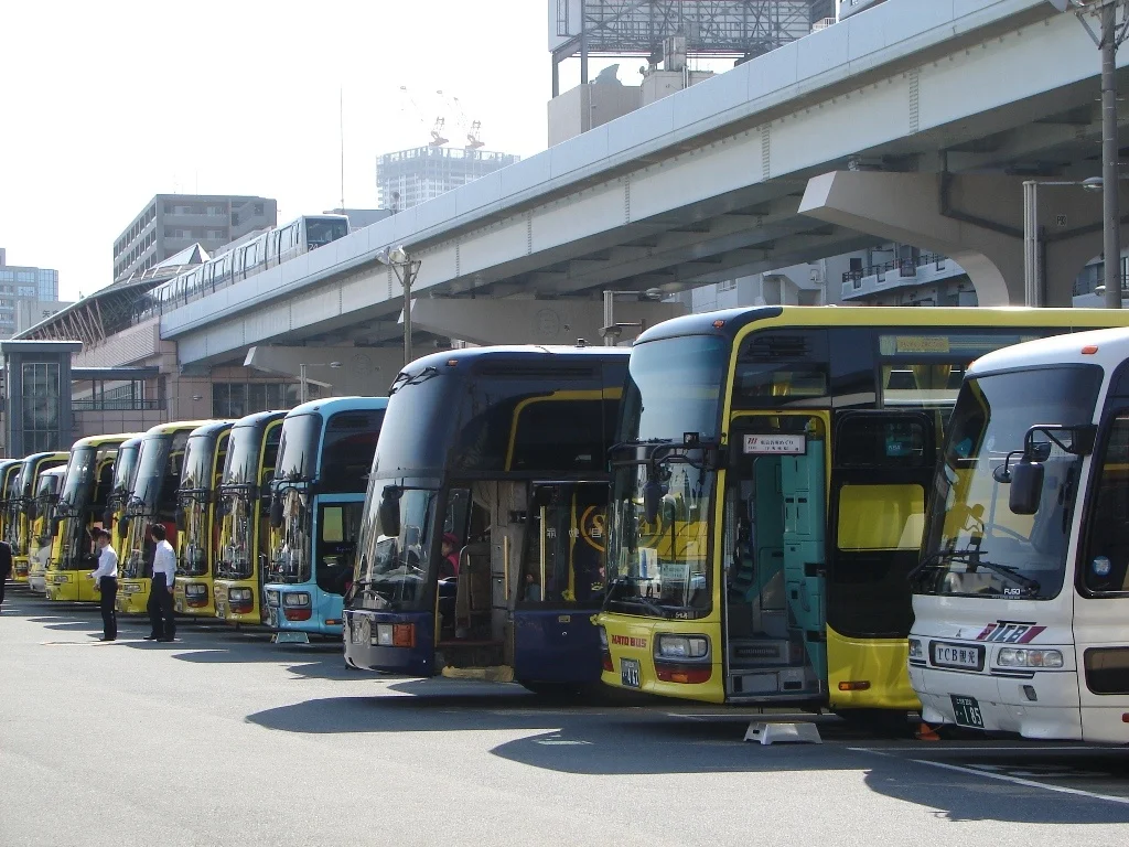 Buses in Front of Hinode Piere Passengers Terminal