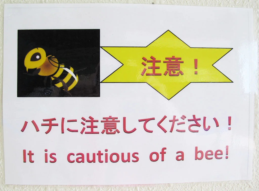 Cautious of a bee