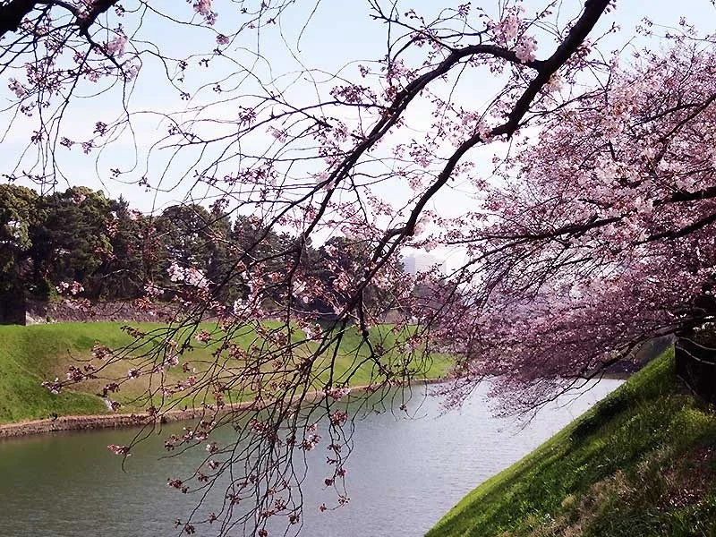 Chidorigafuchi