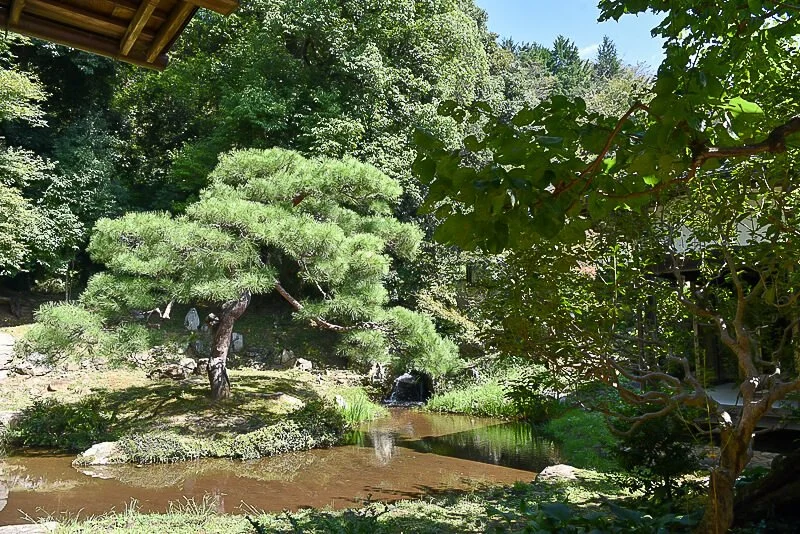 Daizen-ji (大善寺)