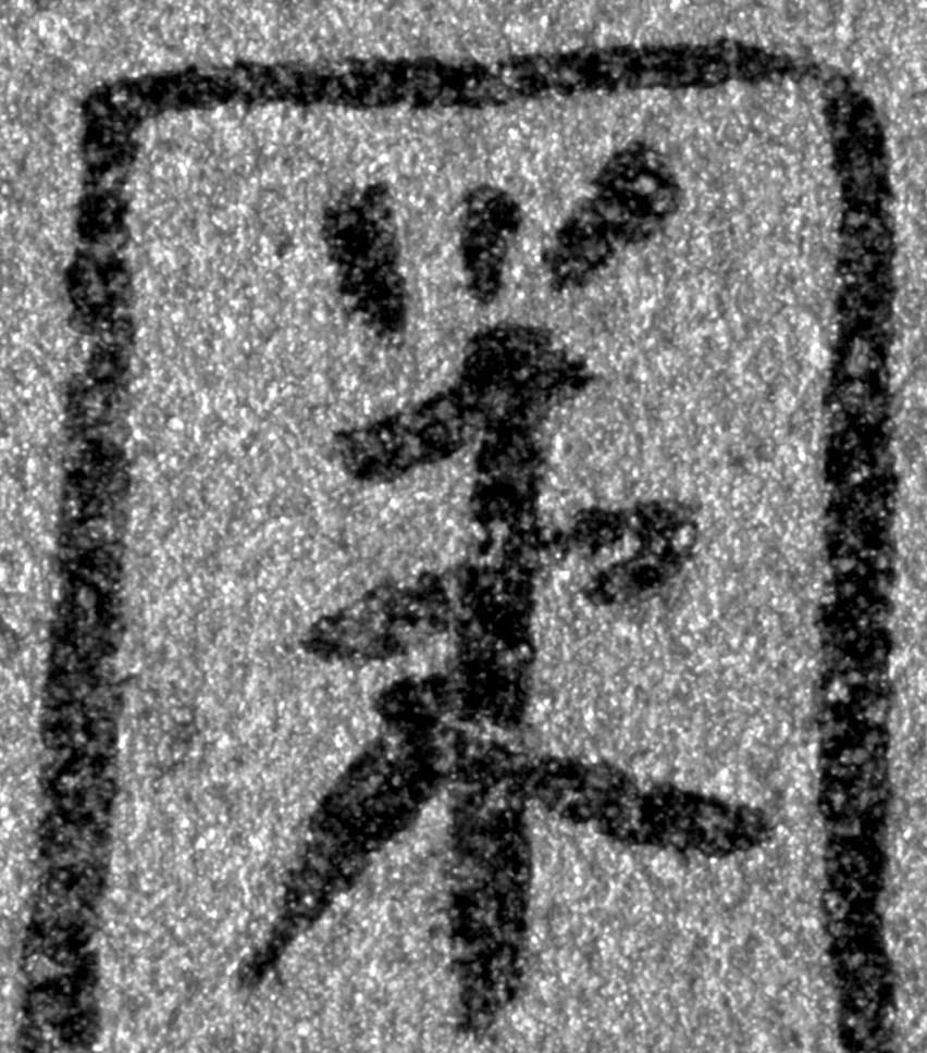 Detail no.1.jpg