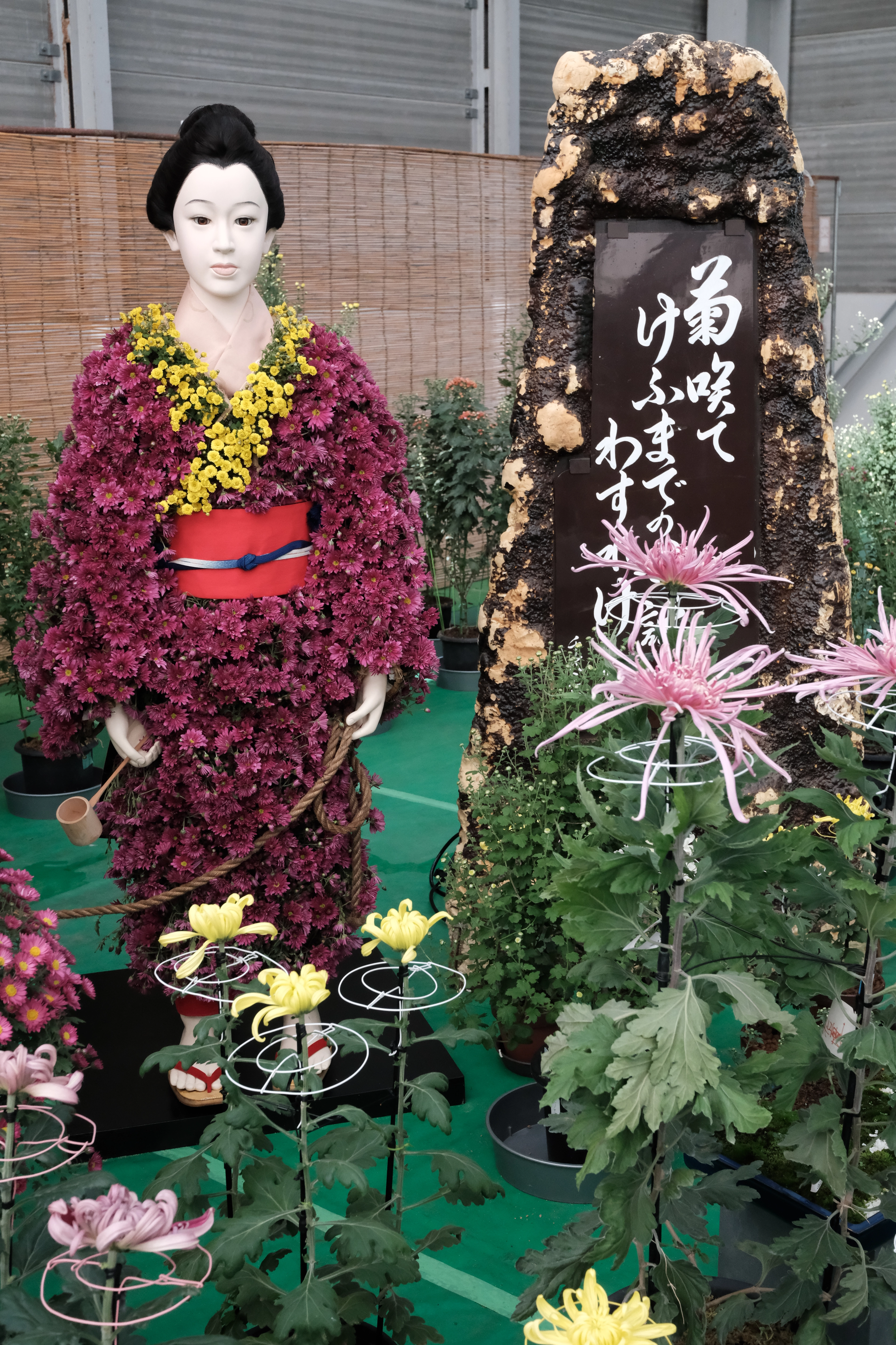 DSCF1510.webp