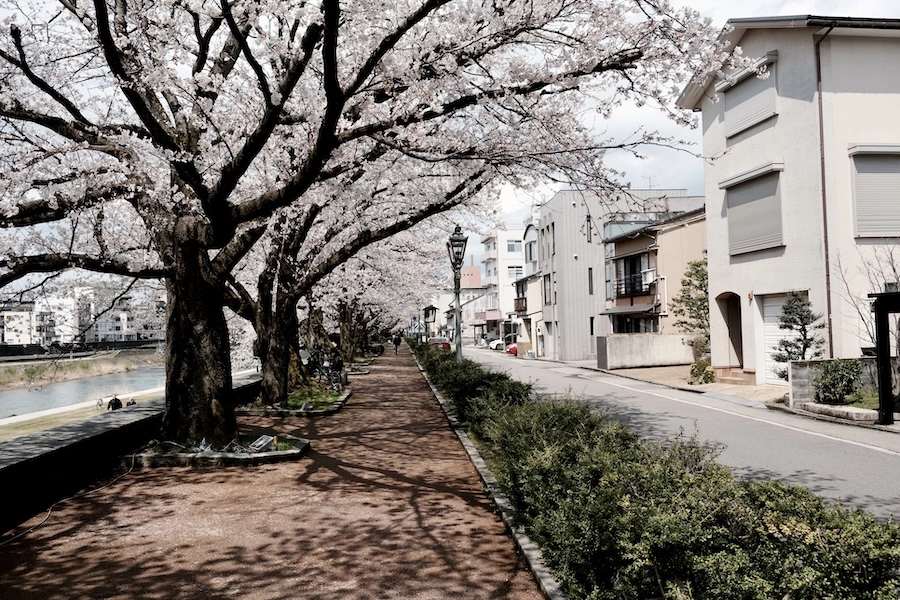DSCF1826.webp
