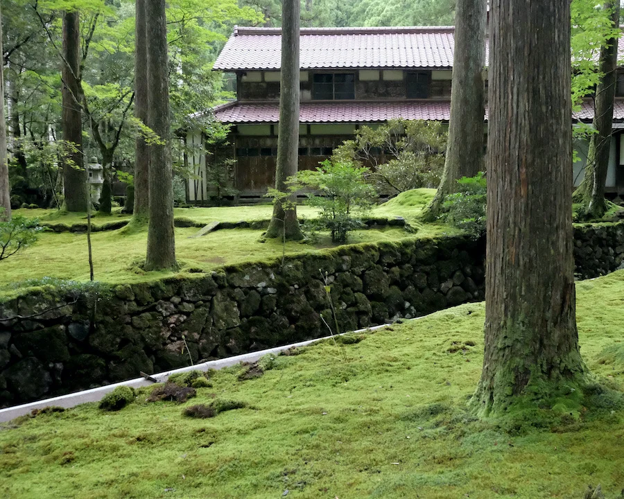 DSCF1844.JPG