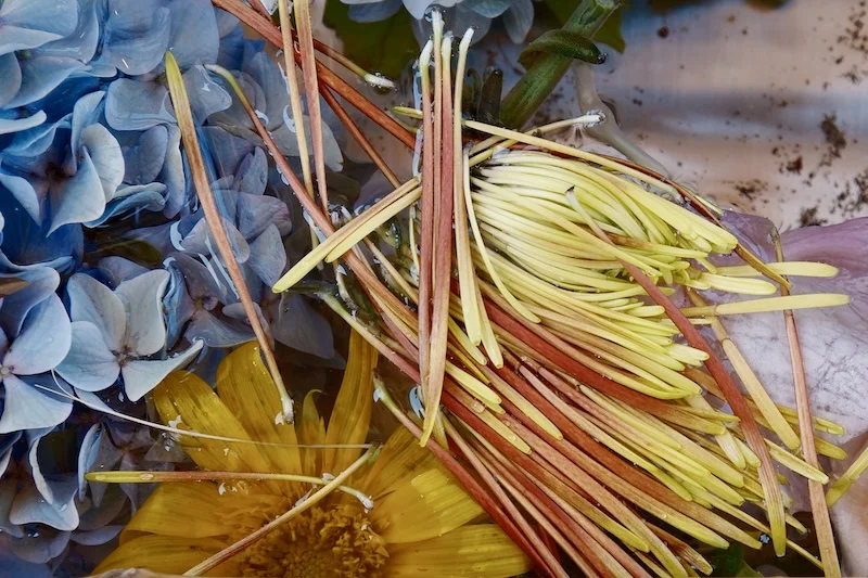 DSCF2075.webp
