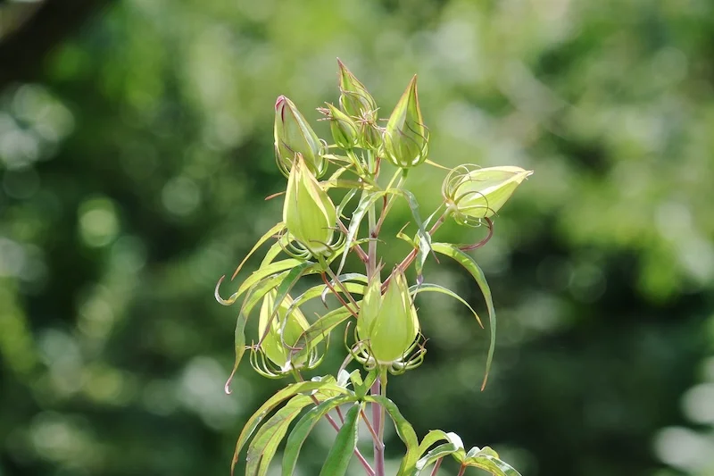DSCF2151.webp