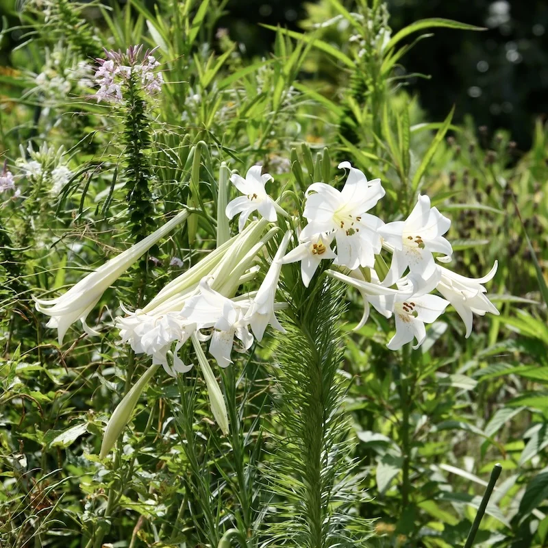 DSCF2154.webp