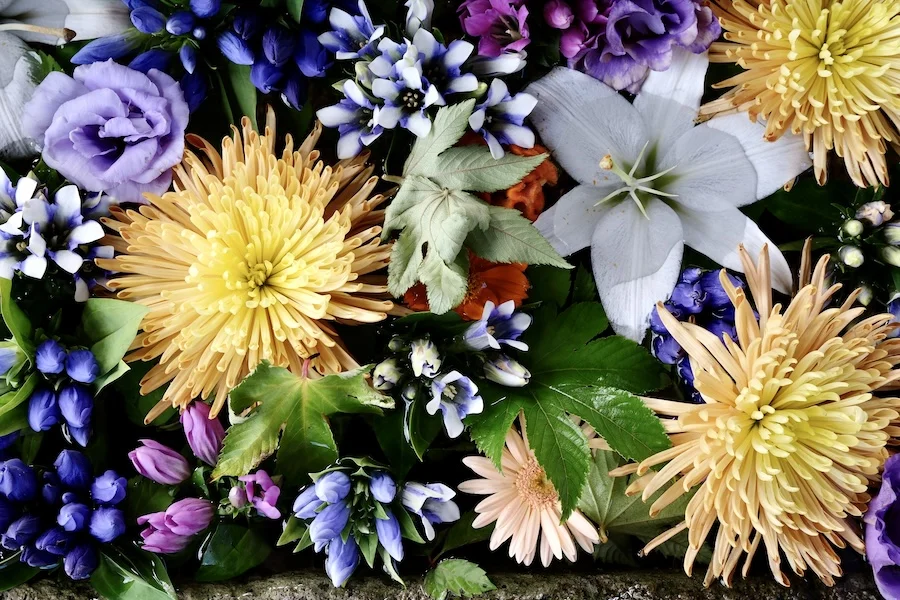 DSCF2359.webp