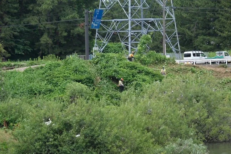 DSCF3012.webp
