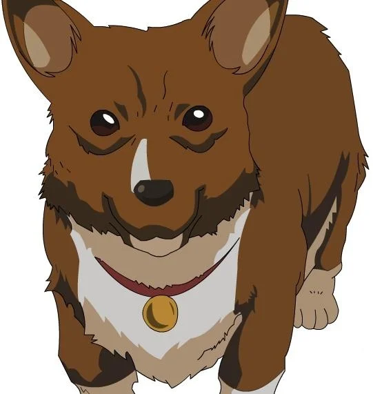 Ein