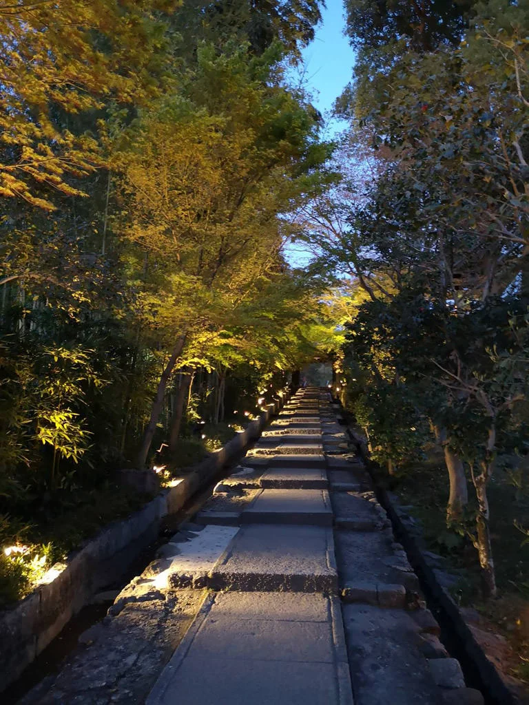 Entokuin