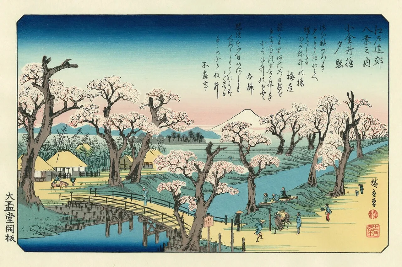 Evening Glow at Koganei