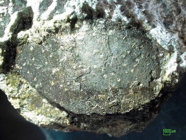 fossilised-dinosaur-eggs-kyushu.jpg