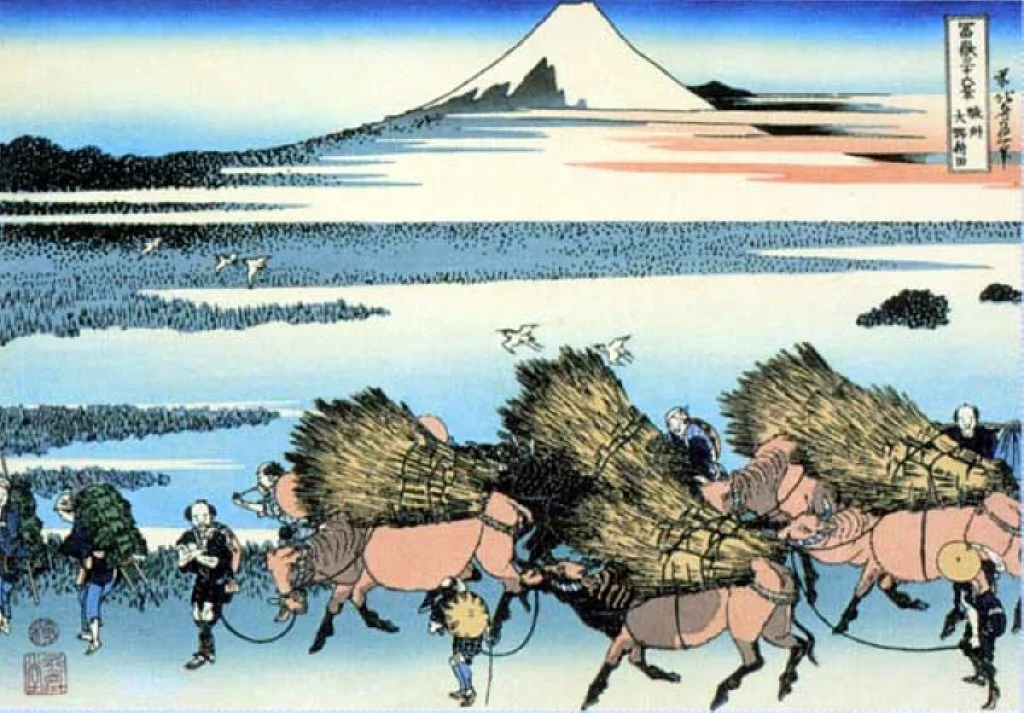 Fuji-13
