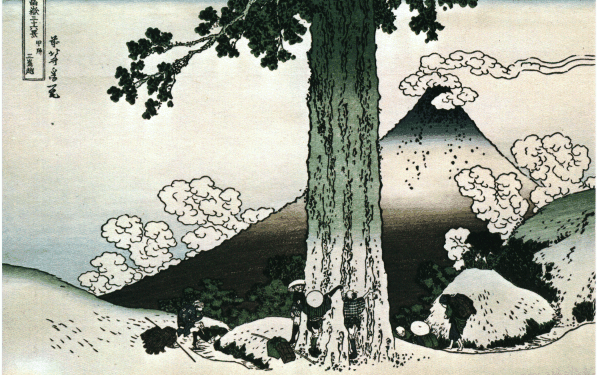 Fuji-27