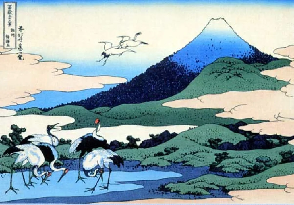 Fuji-41