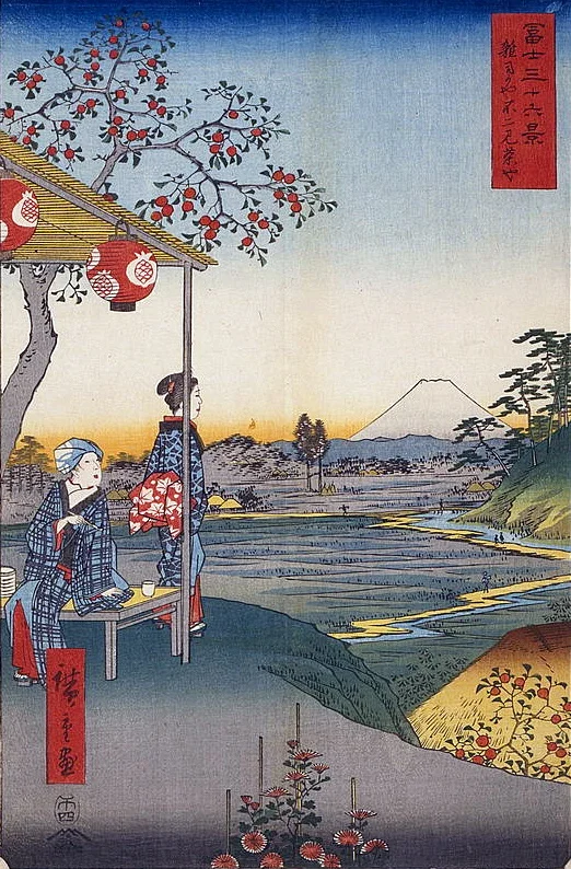 Fuji-8
