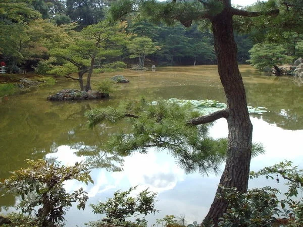 Gardens in Kinkakuji