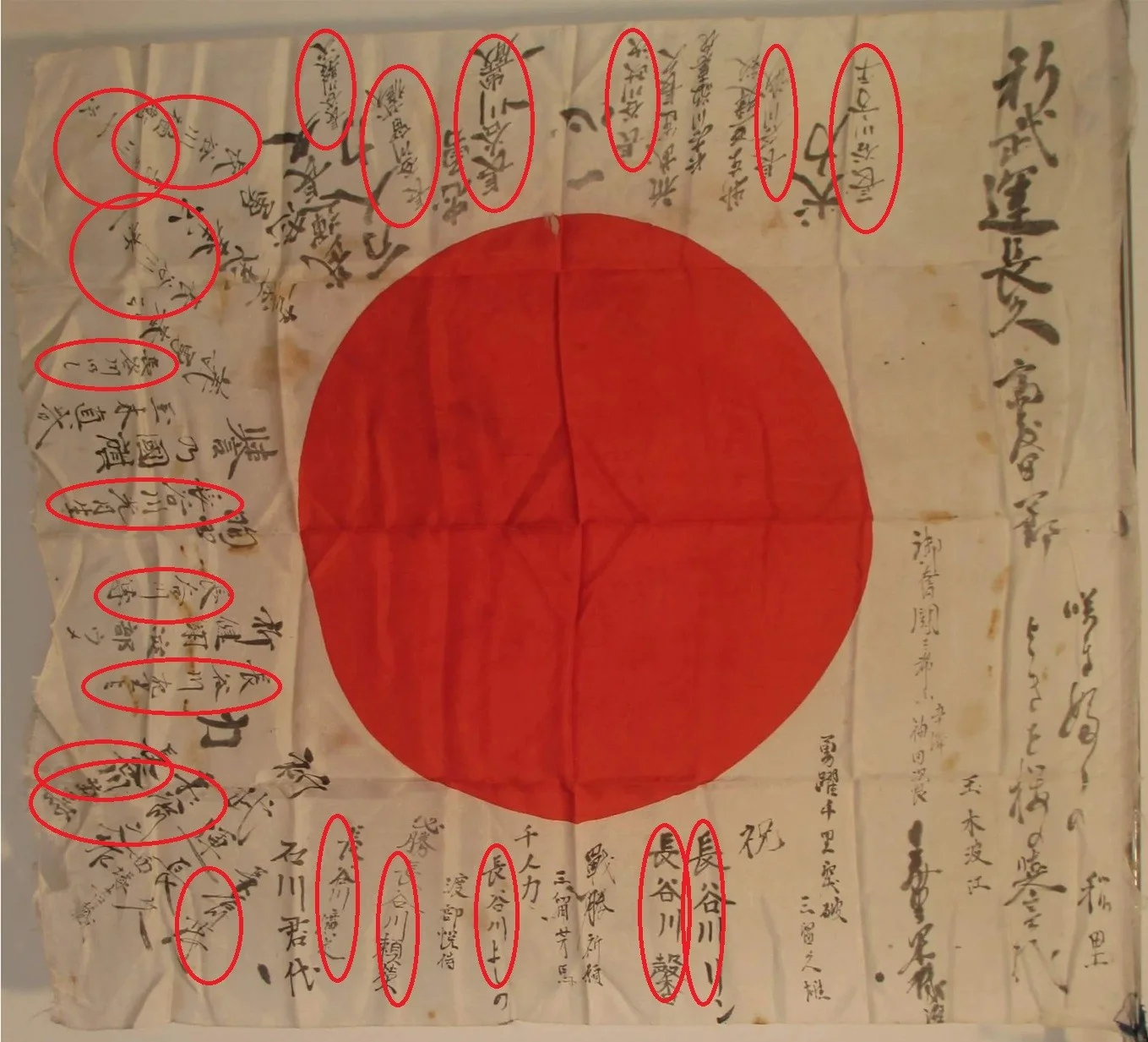 Hasegawa.webp