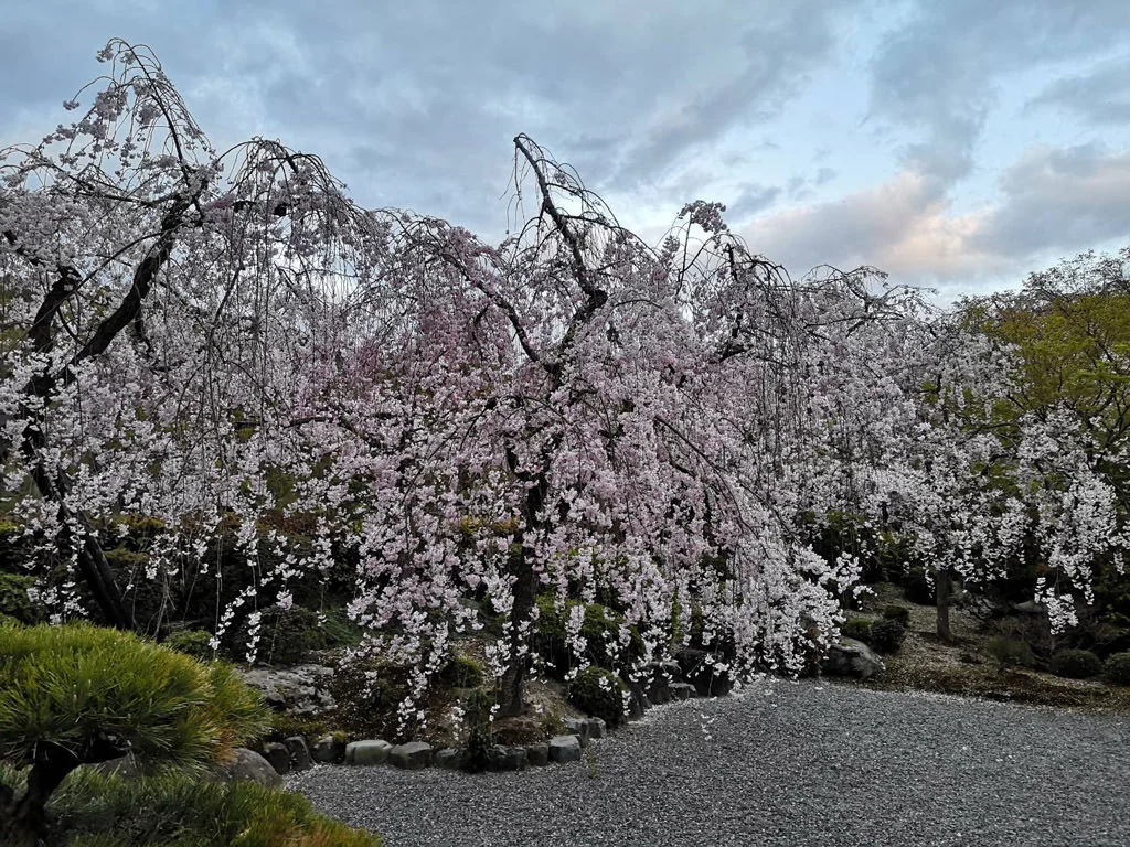 Hekiunsō