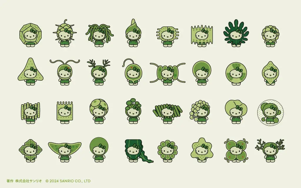 hellokitty-algae-02.webp