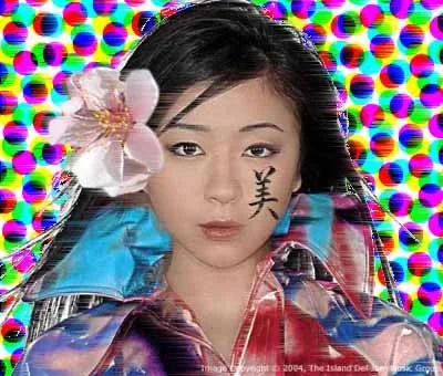 HIKKI1.JPG