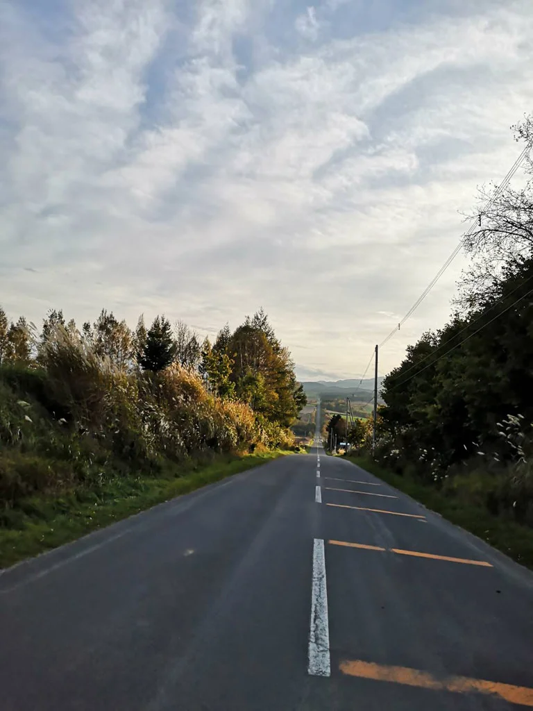 Hokkaido Roads
