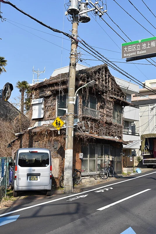 ikegami-5.jpg