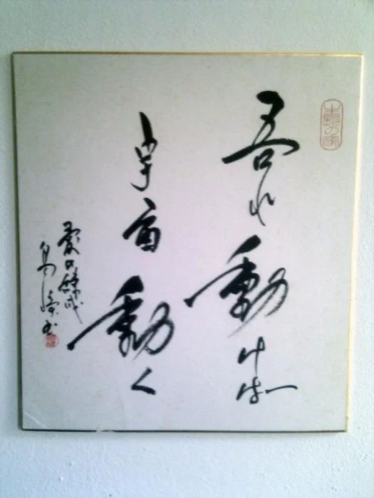 IMAG0694.jpg