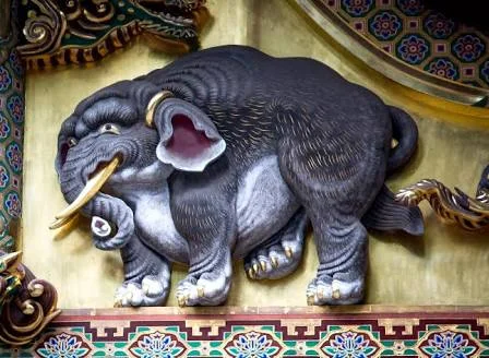image.jpeg