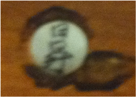 Image2.gif