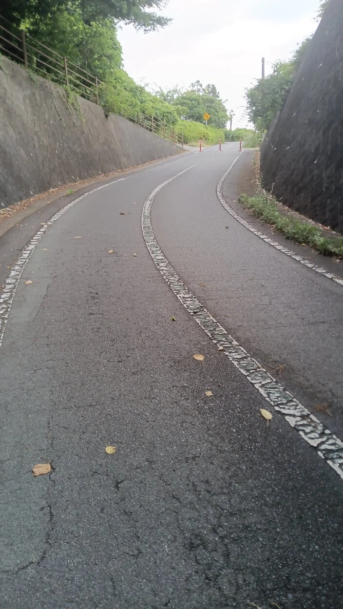 IMG-20230629-WA0012.jpeg