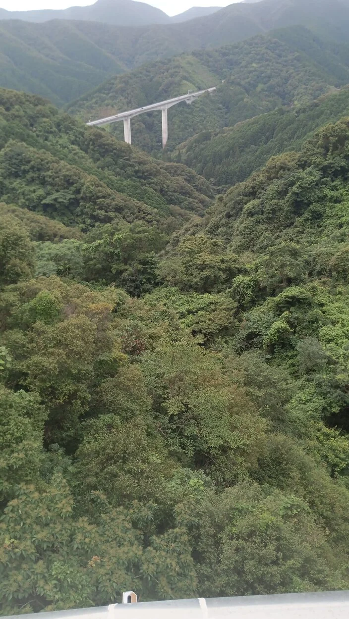 IMG-20230715-WA0000.jpeg