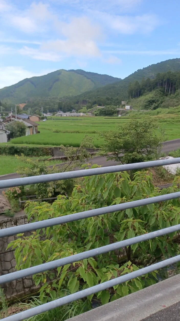 IMG-20230715-WA0008.jpeg