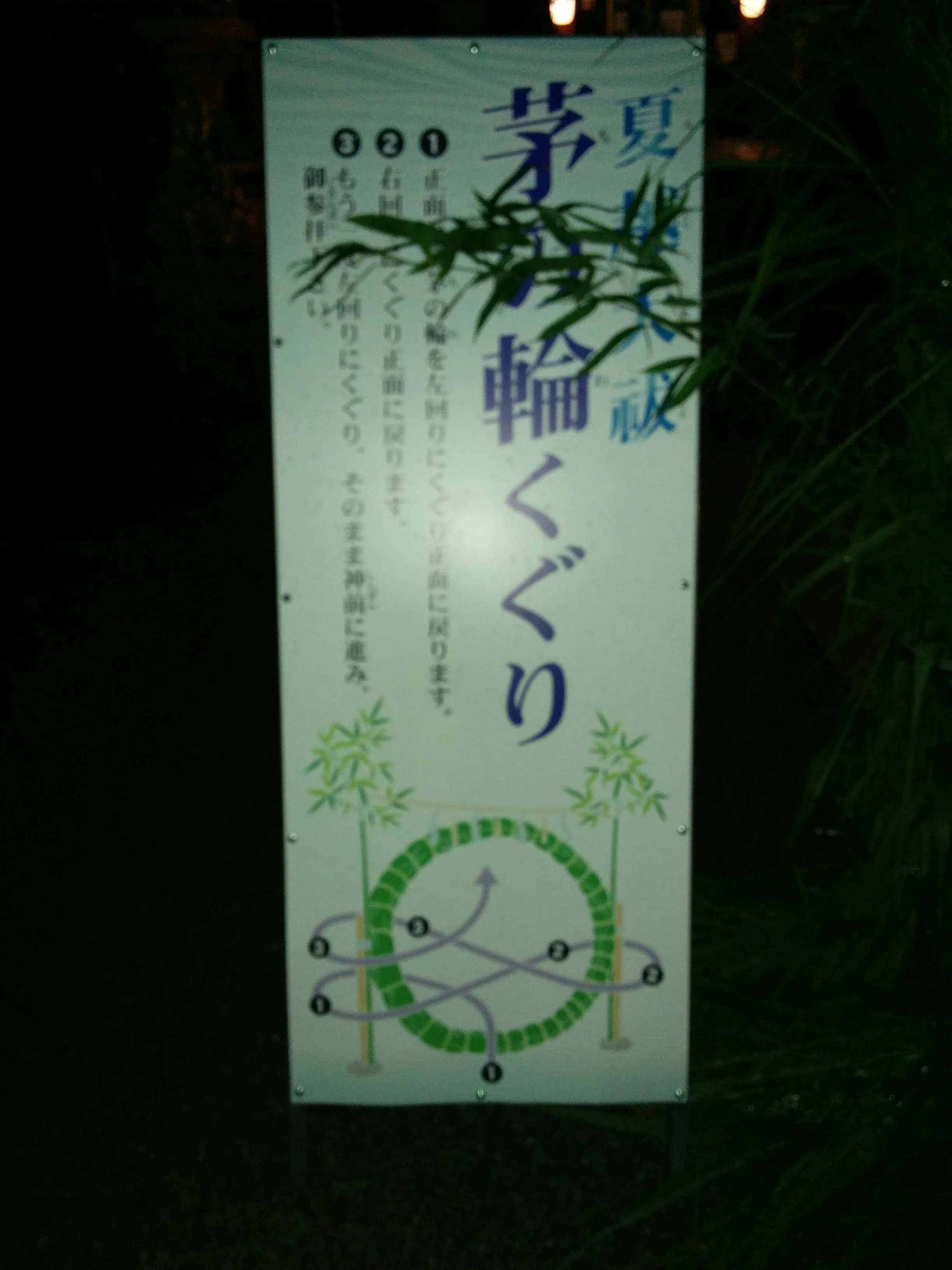 IMG_20160629_212510.jpg