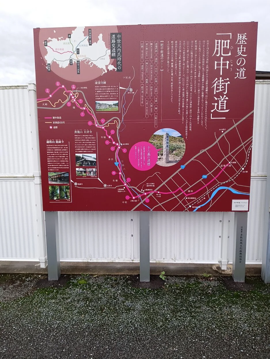 IMG_20221123_134150.jpg
