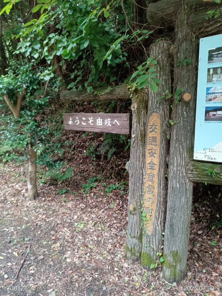 IMG_20230709_073158.jpg
