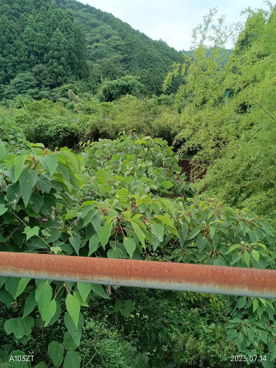 IMG_20230714_105838.jpg