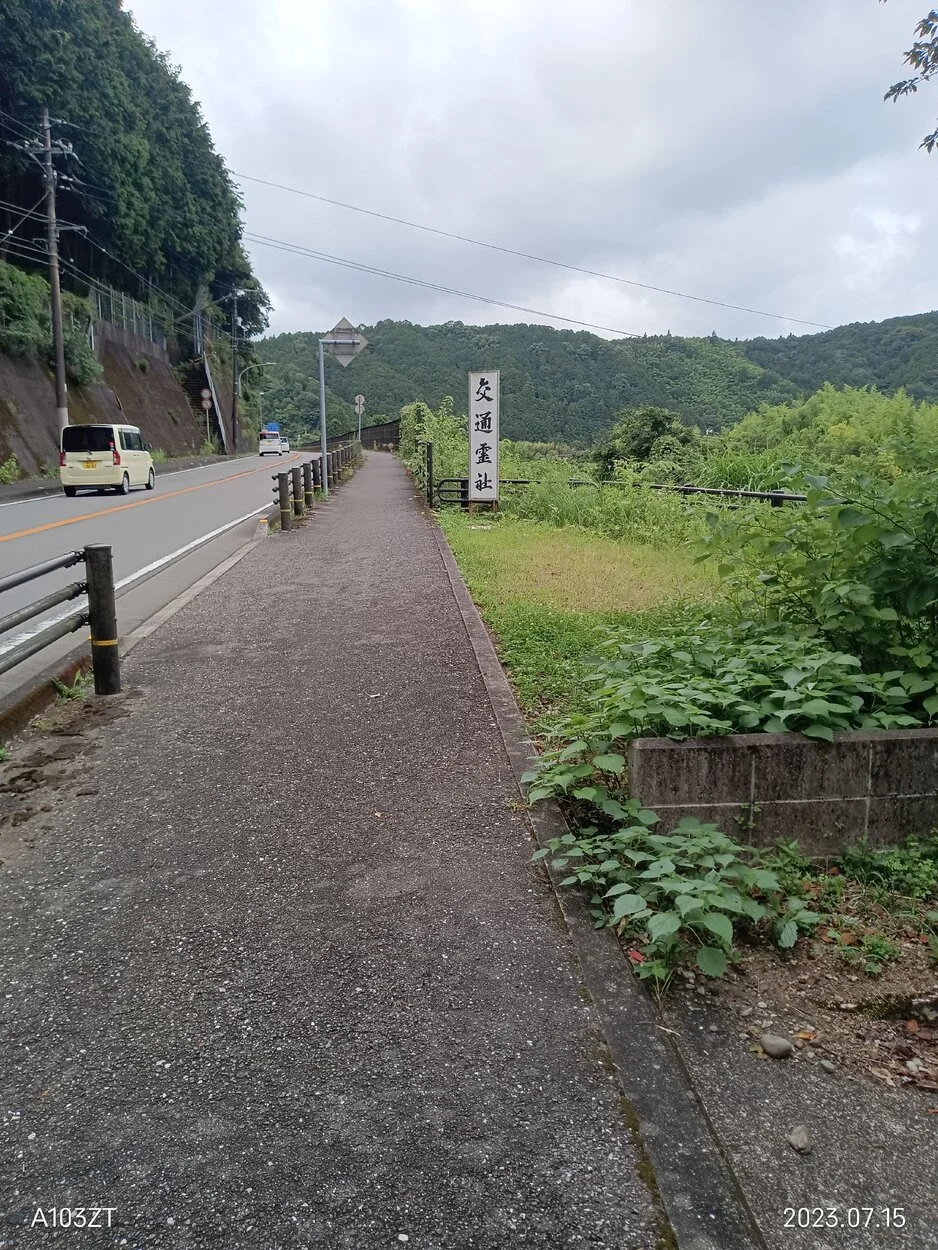 IMG_20230715_115447.jpg