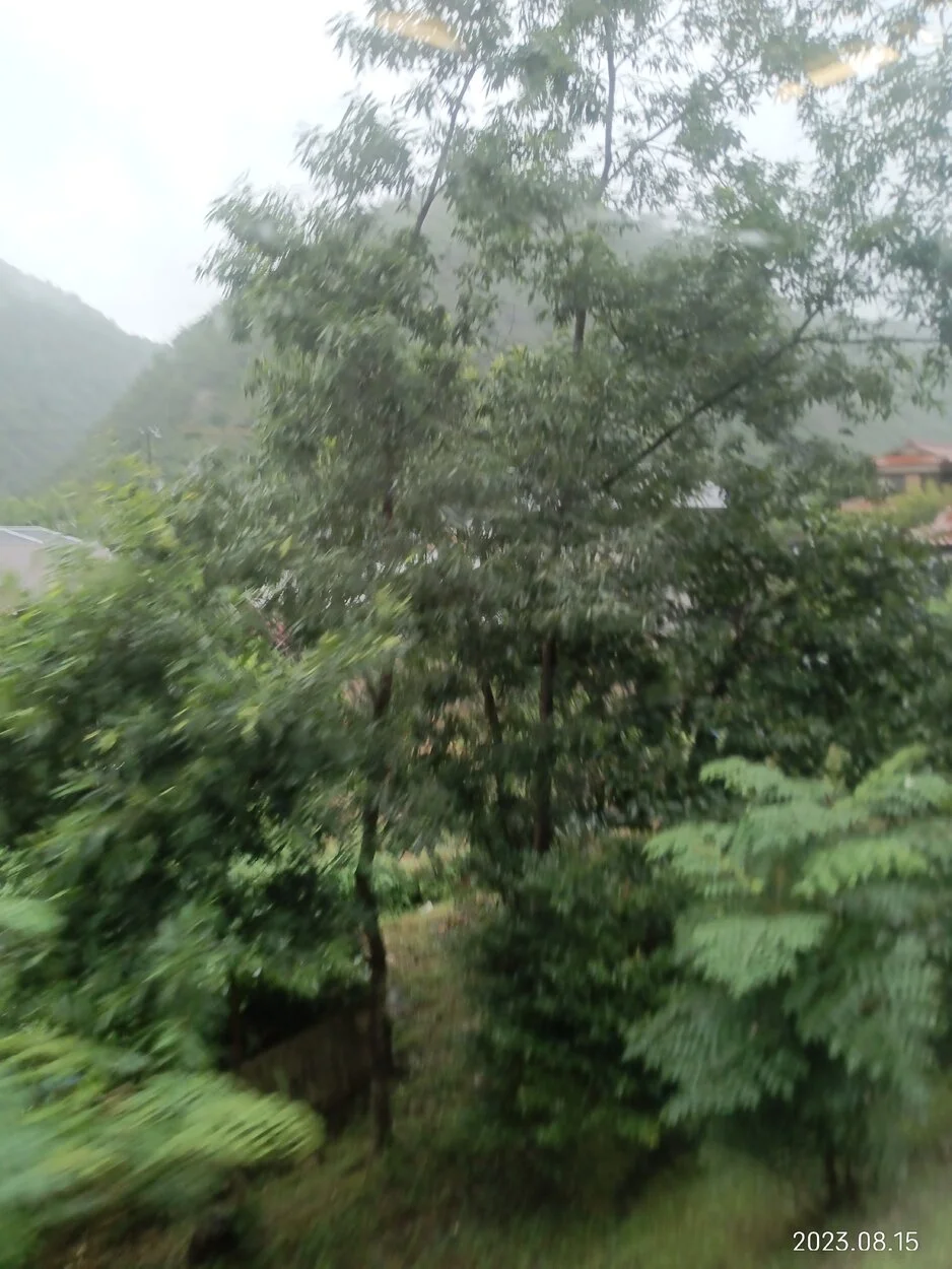 IMG_20230815_160917.jpg