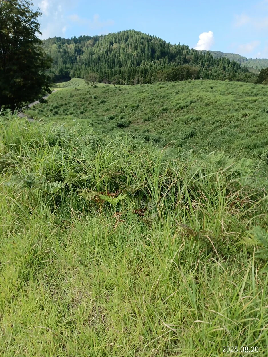 IMG_20230820_092408.jpg