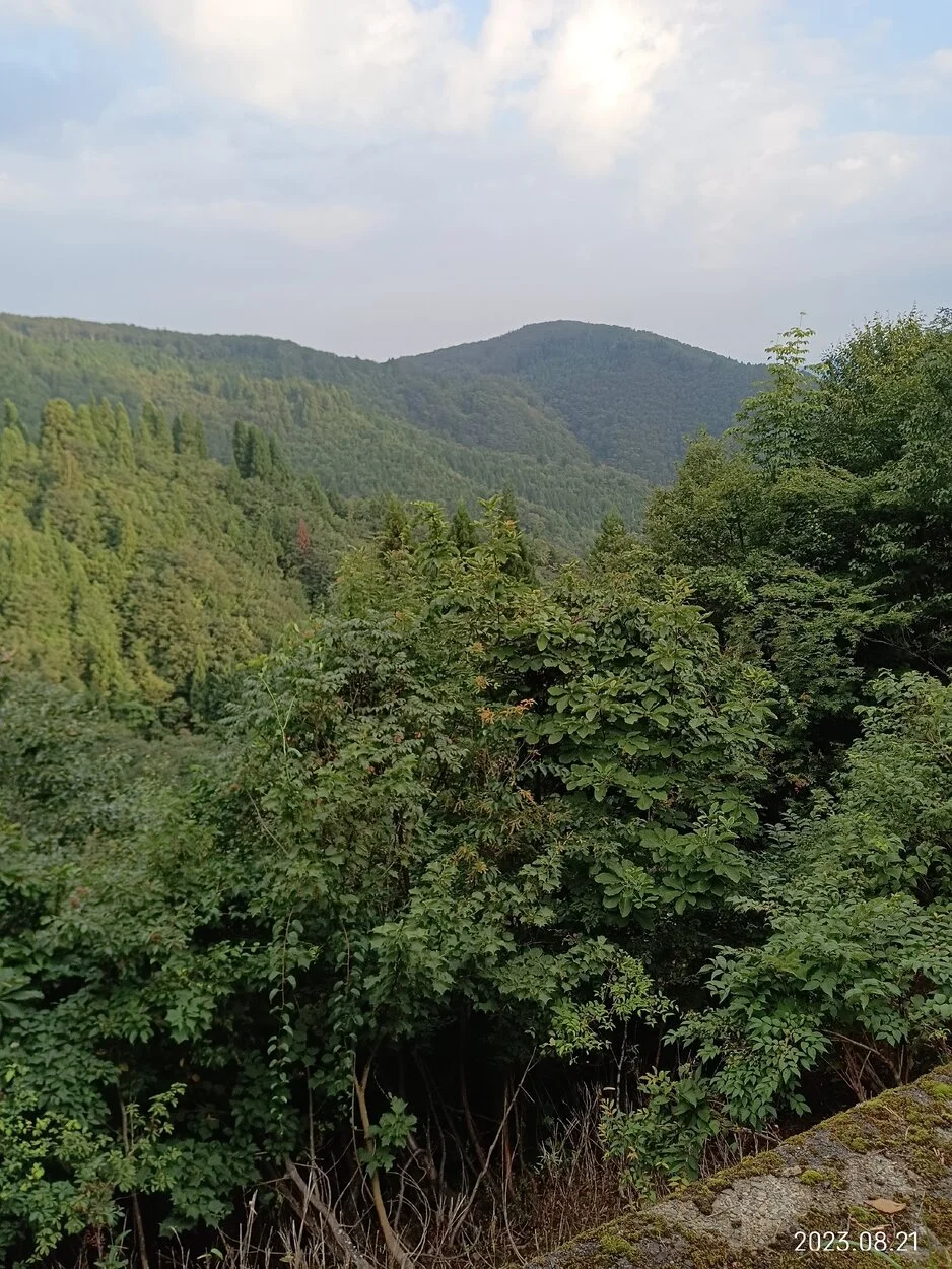 IMG_20230821_064730.jpg