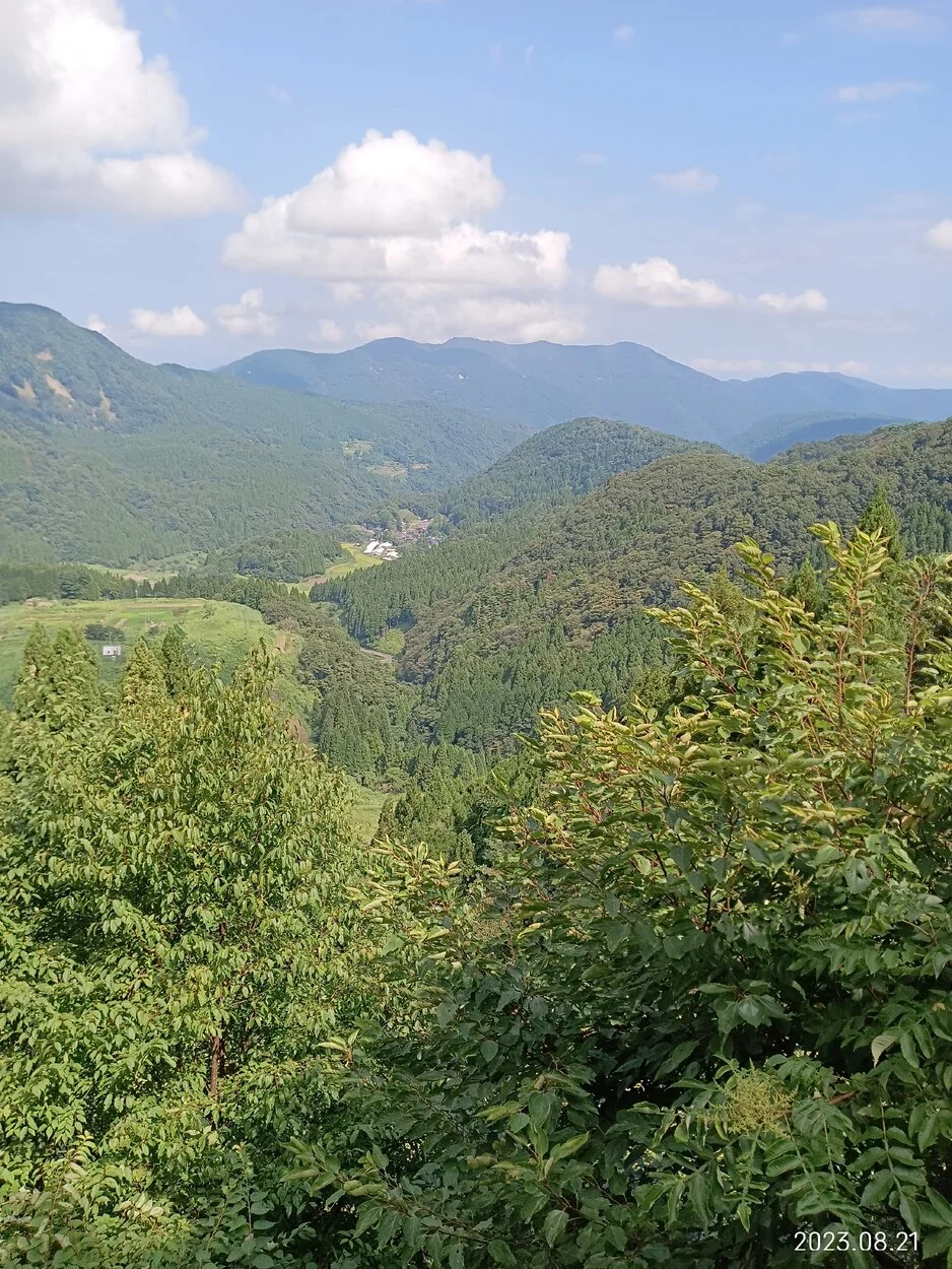 IMG_20230821_095922.jpg