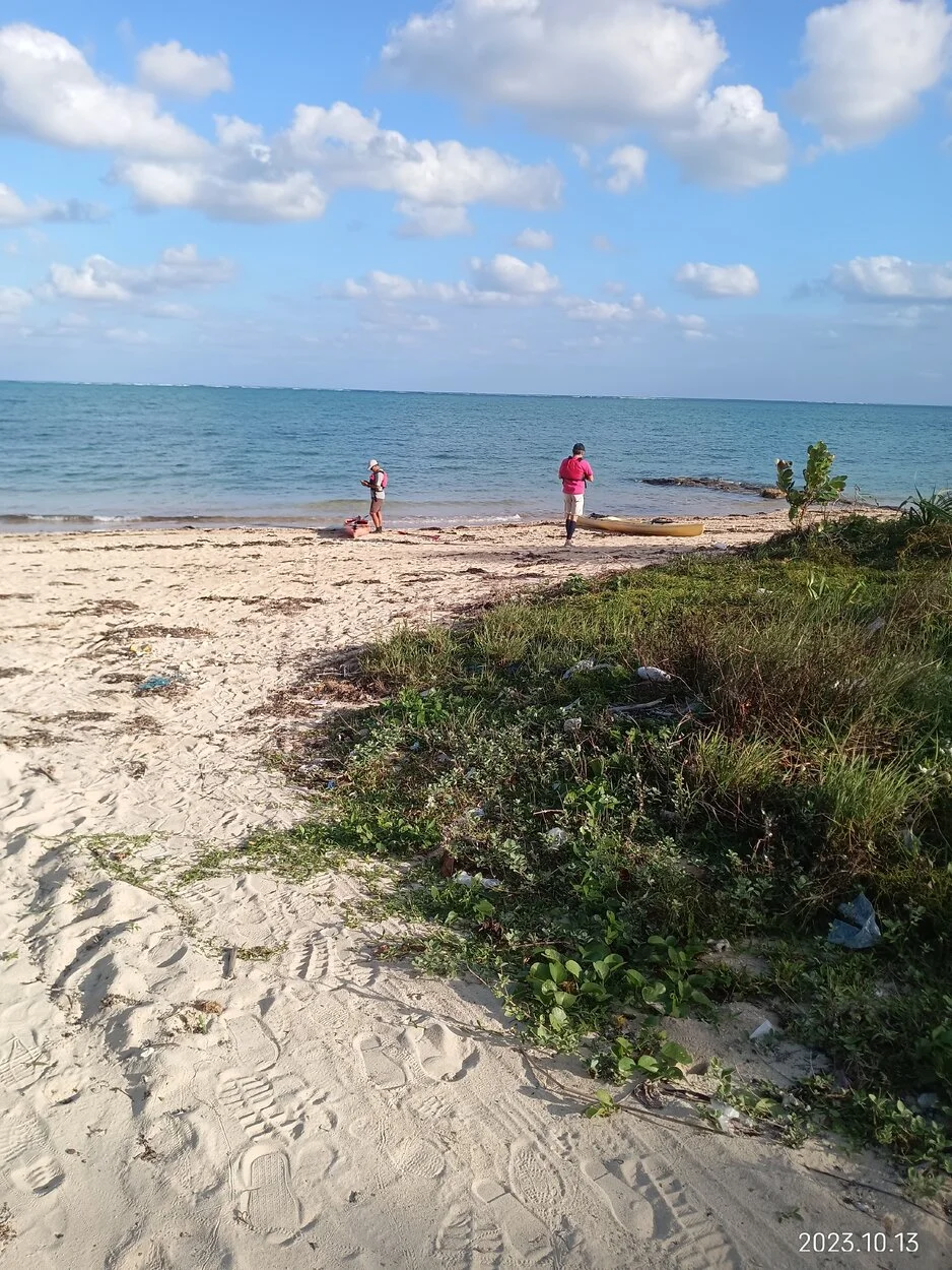 IMG_20231013_164516.jpg