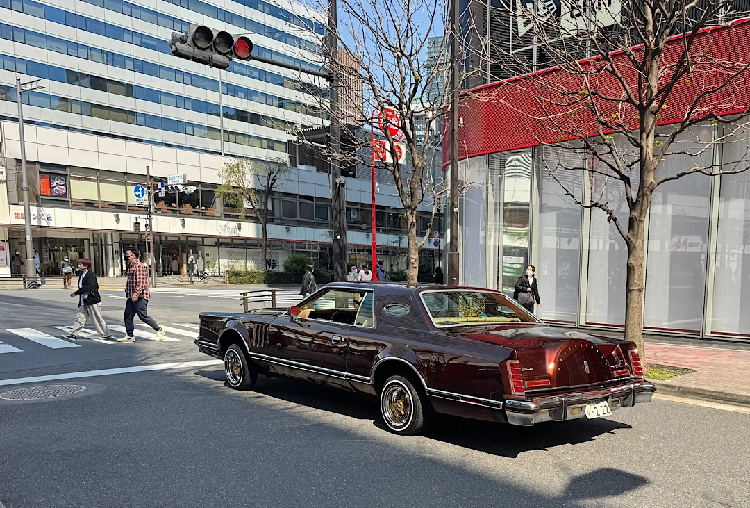 IMG_6708.webp