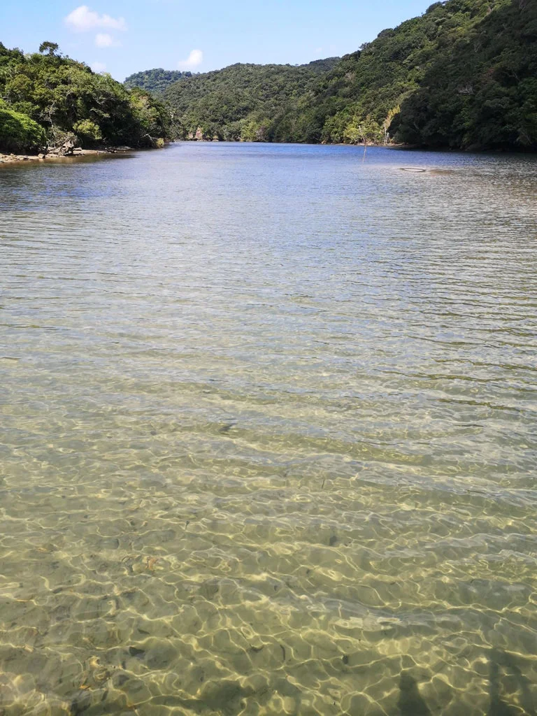 Iriomote National Park